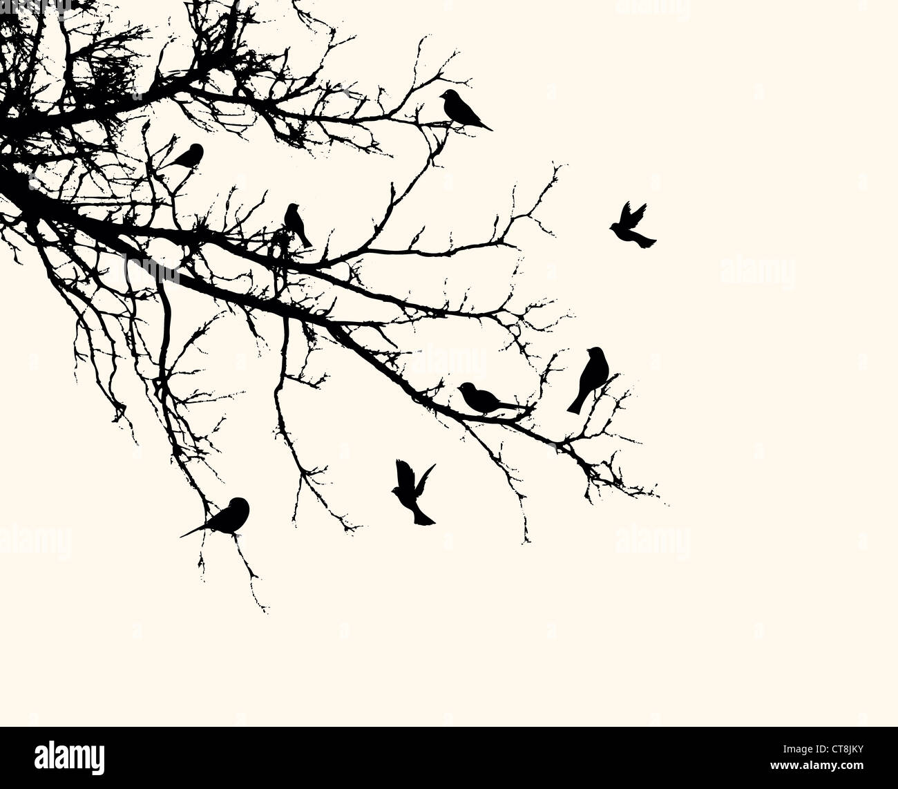 vector vintage background with birds Stock Photo - Alamy