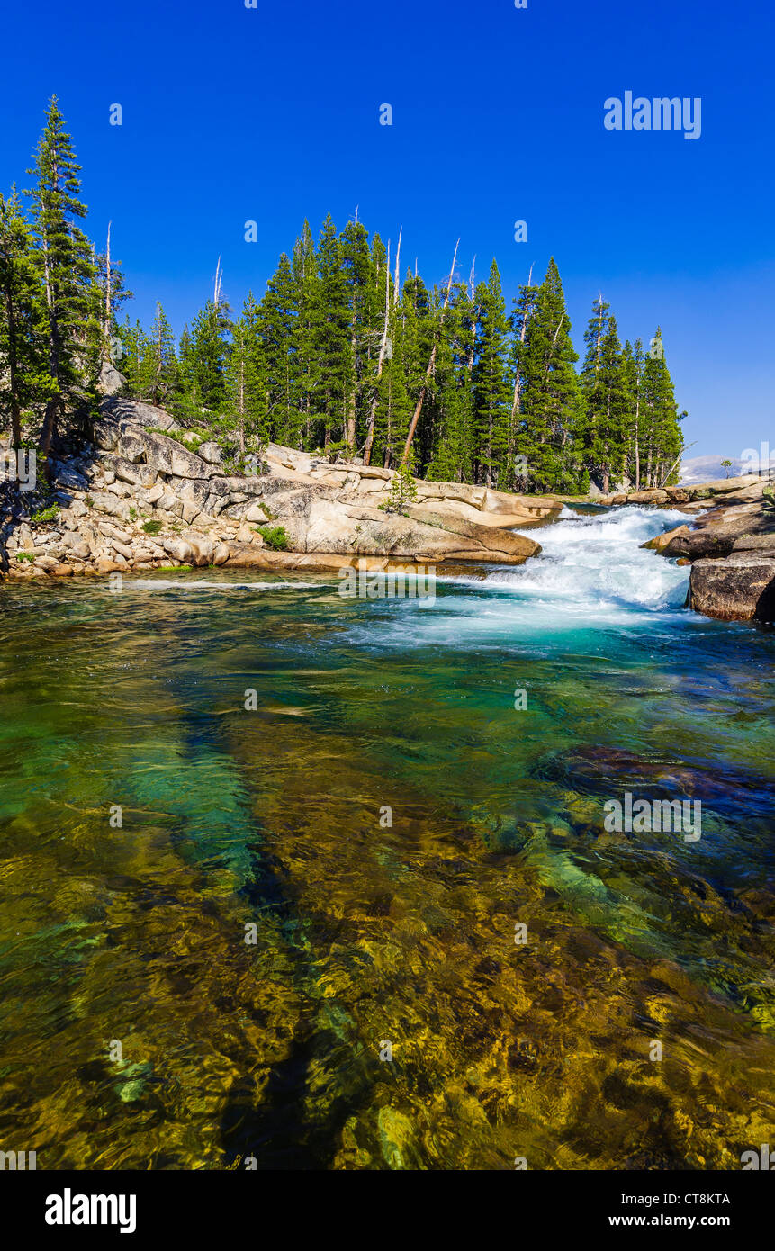 Cascade on the Tuolumne River, Tuolumne Meadows, Yosemite National Park