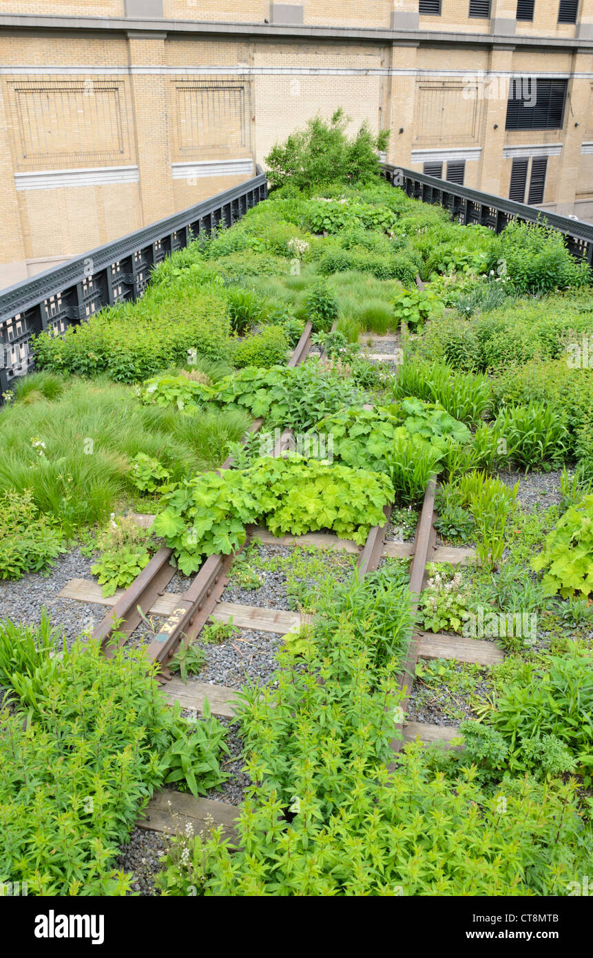 Perennial bed, High Line, New York, USA Stock Photo - Alamy