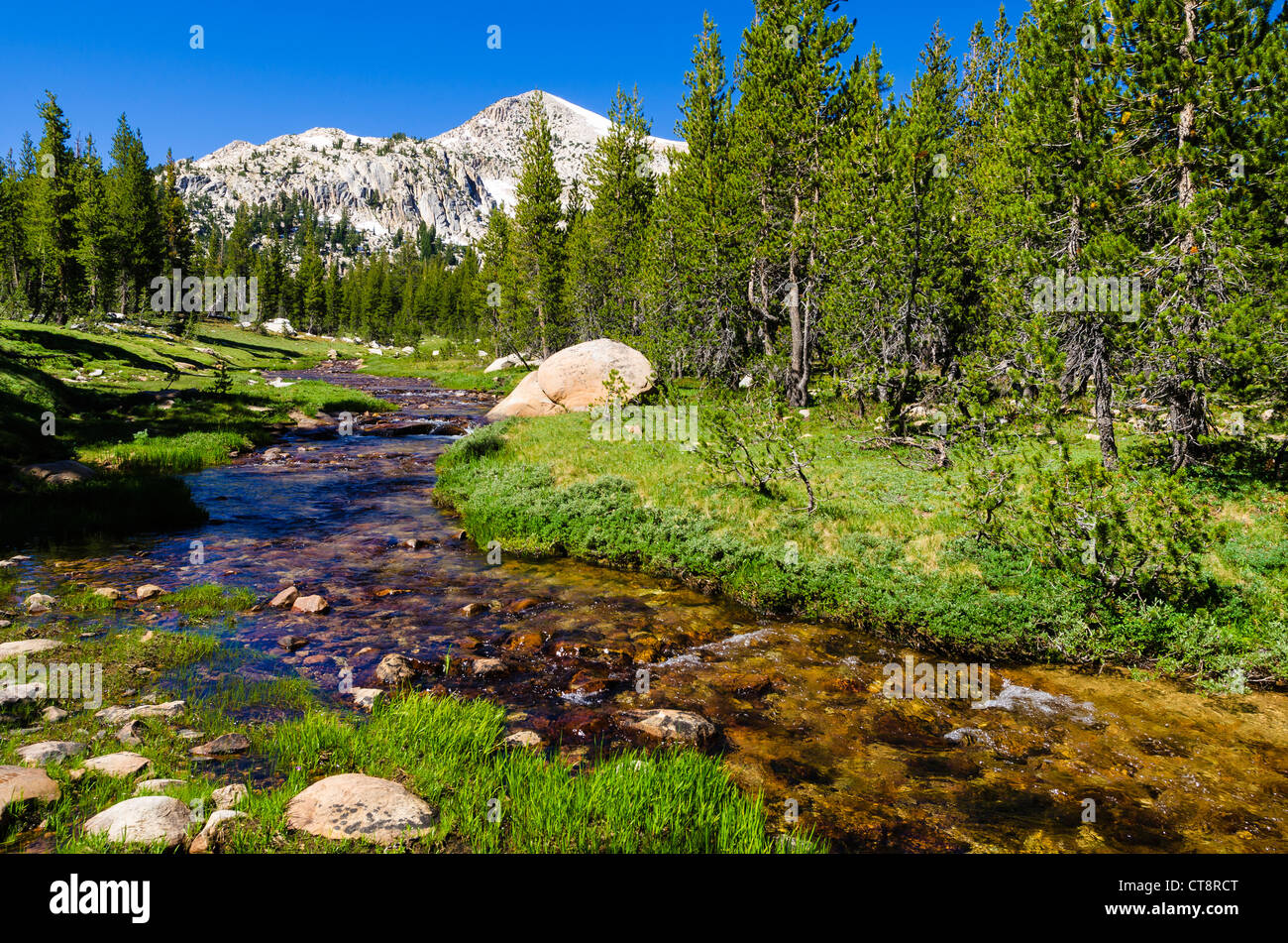 Unicorn Creek, Tuolumne Meadows, Yosemite National Park, California USA