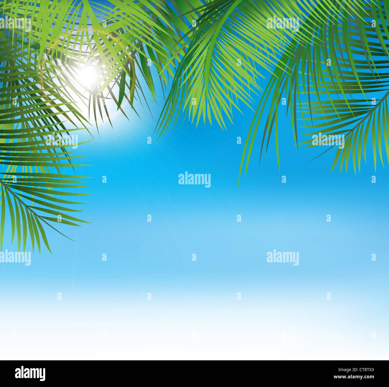 vector summer background with palm leaves Stock Photo - Alamy