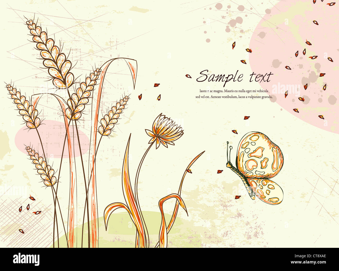vector colorful floral background with butterfly Stock Photo - Alamy