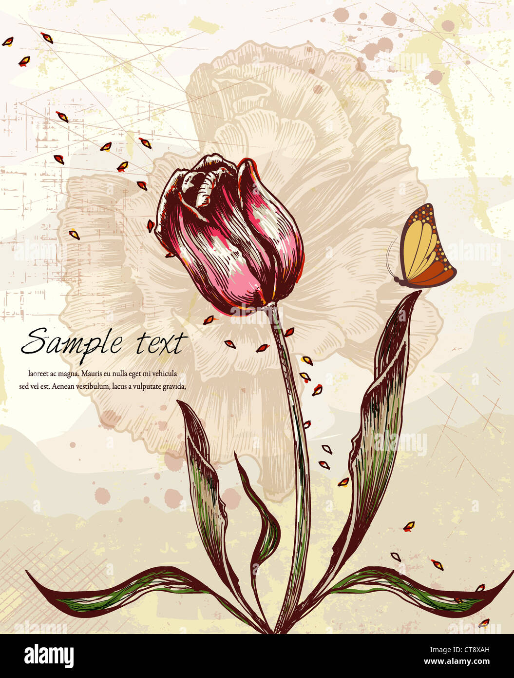 vector colorful floral background with butterfly Stock Photo - Alamy