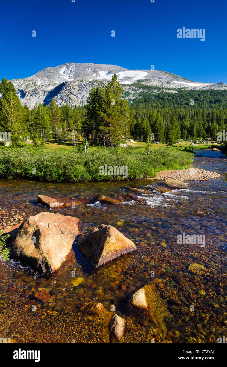 Stream in Dana Meadows under Mount Gibbs, Tuolumne Meadows, Yosemite