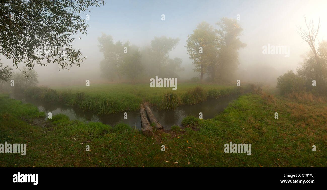 Landscape with fog in forest and the bridge through a stream, panorama Stock Photo