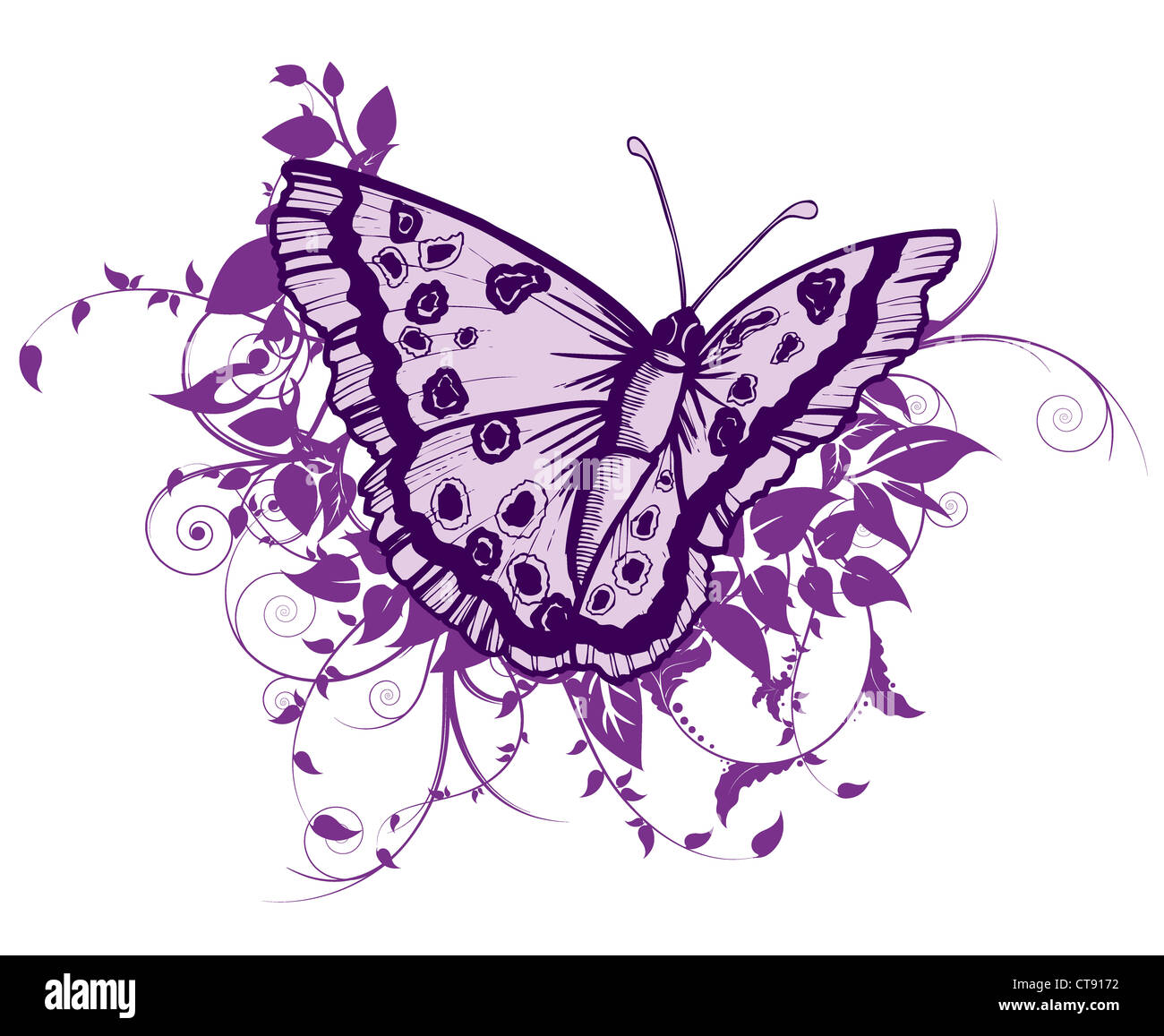 beautiful abstract illustration with floral and butterfly Stock Photo ...