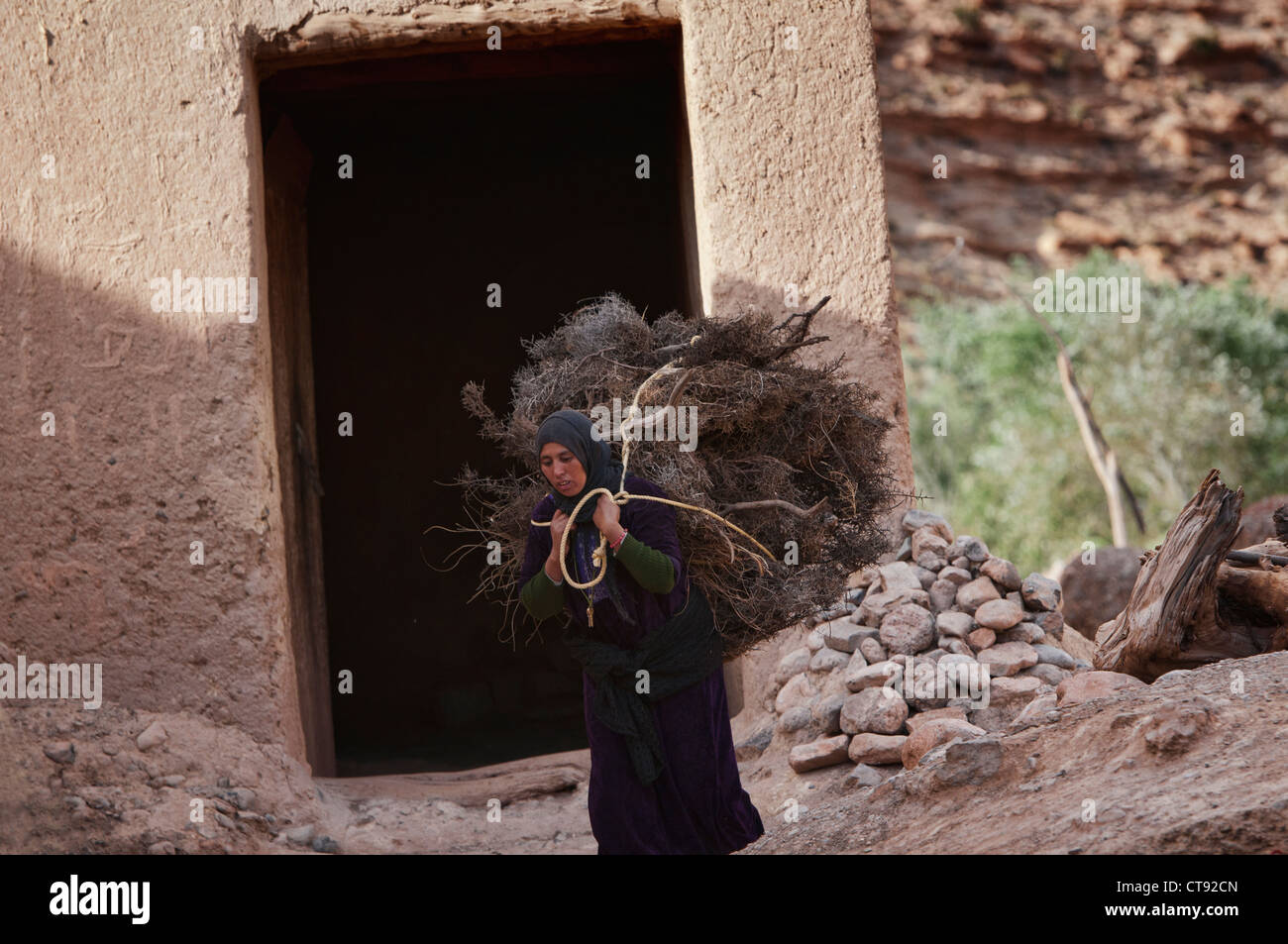Berber woman carrying a load in the Southern Atlas Mountains, Morocco Stock Photo