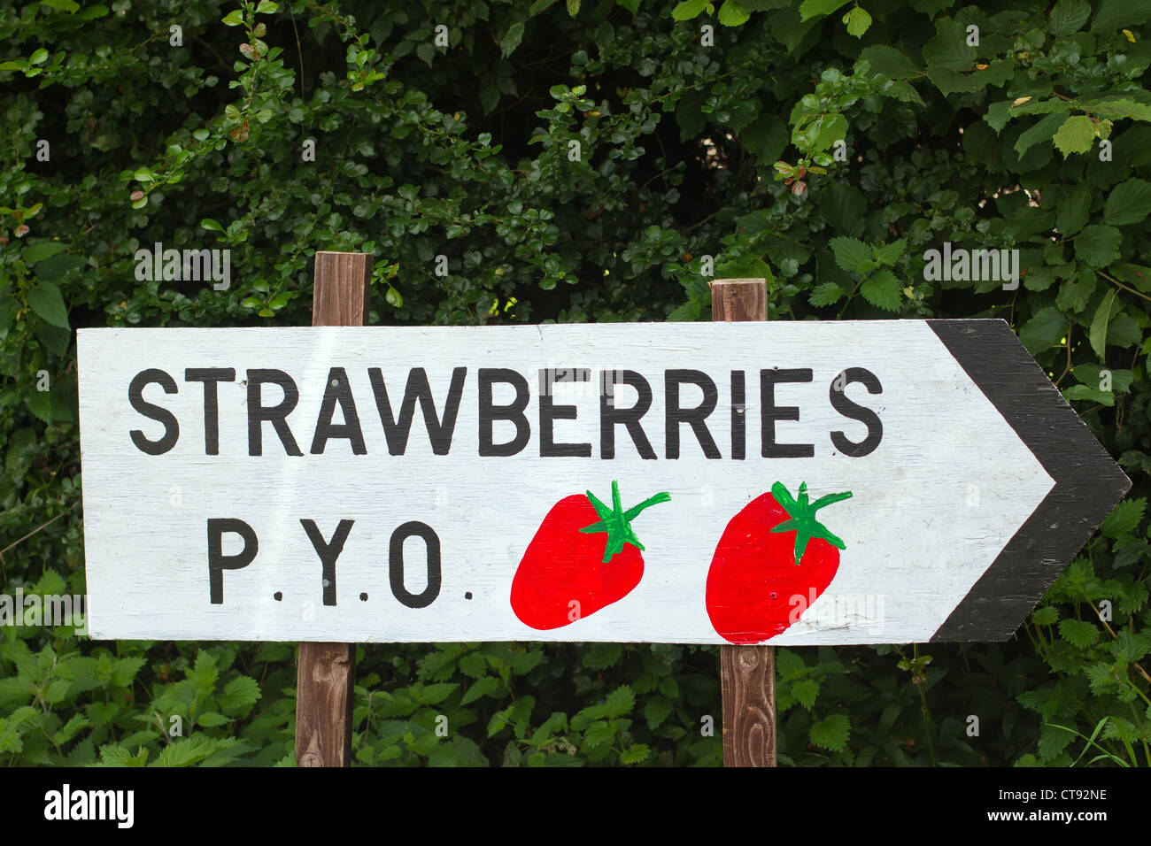 strawberries pick your own wooden sign Stock Photo