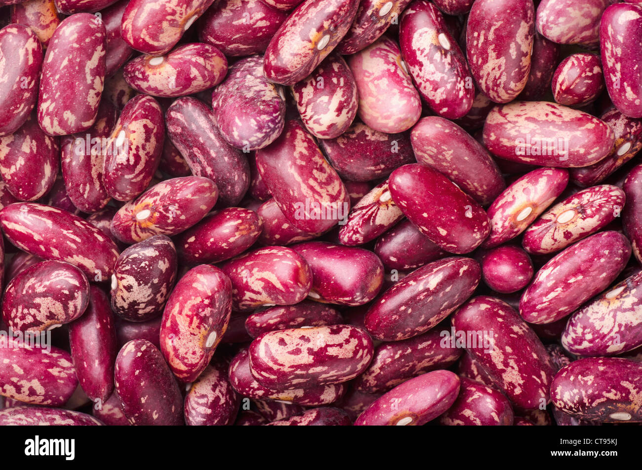 Dried kidney red speckled beans Stock Photo