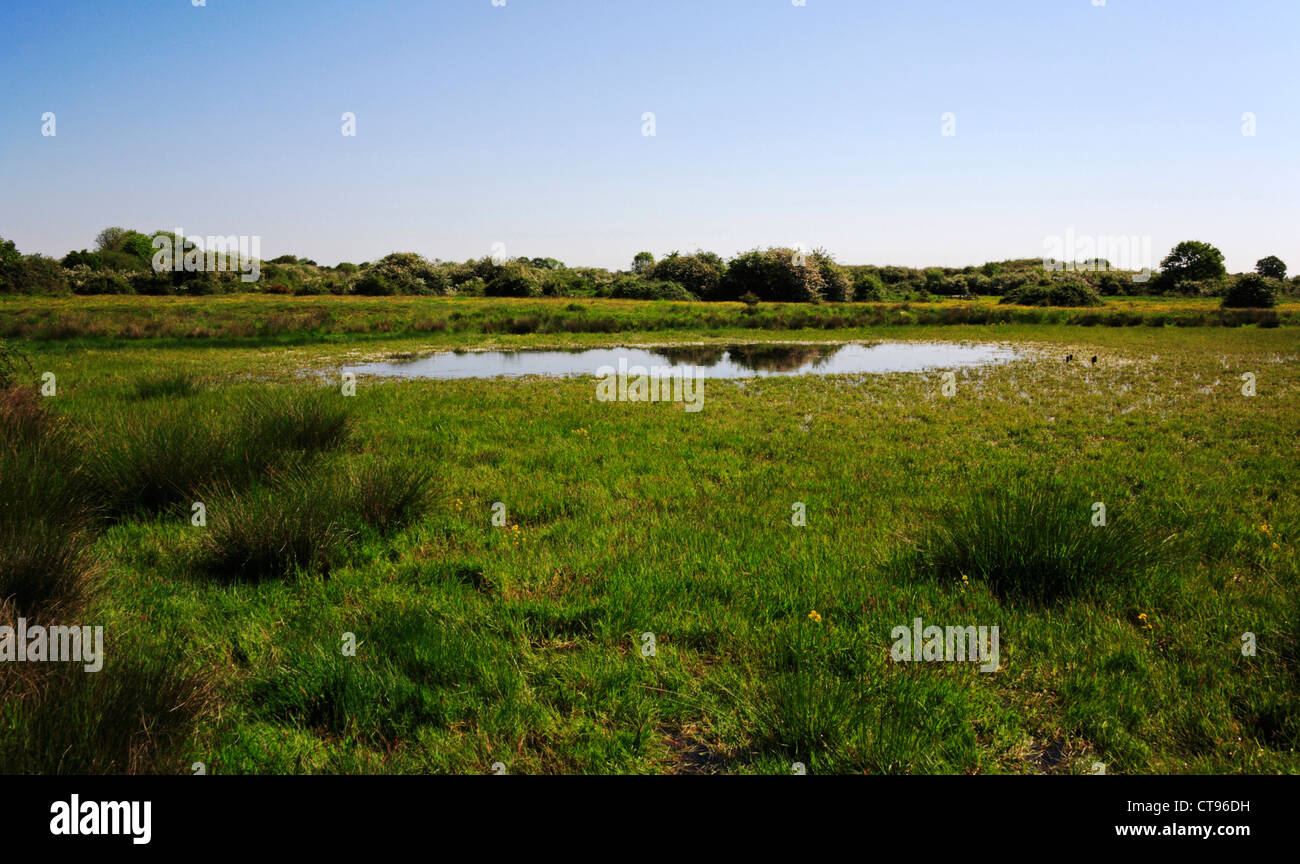 A view of Spittle Mere on the Common at New Buckenham, Norfolk, England, United Kingdom. Stock Photo