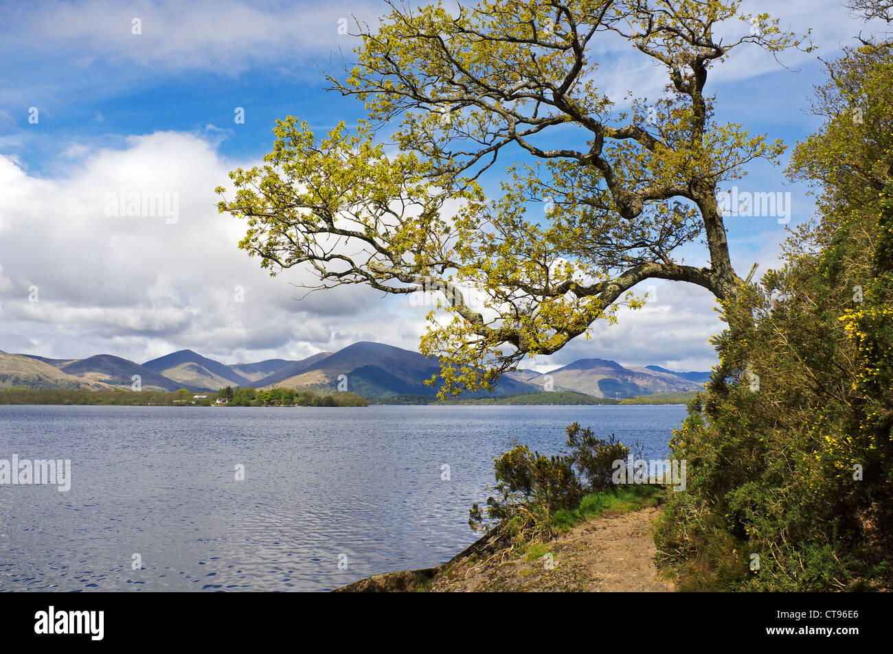 View from Balmaha on the east shore of Loch Lomond, Scotland, UK Stock Photo