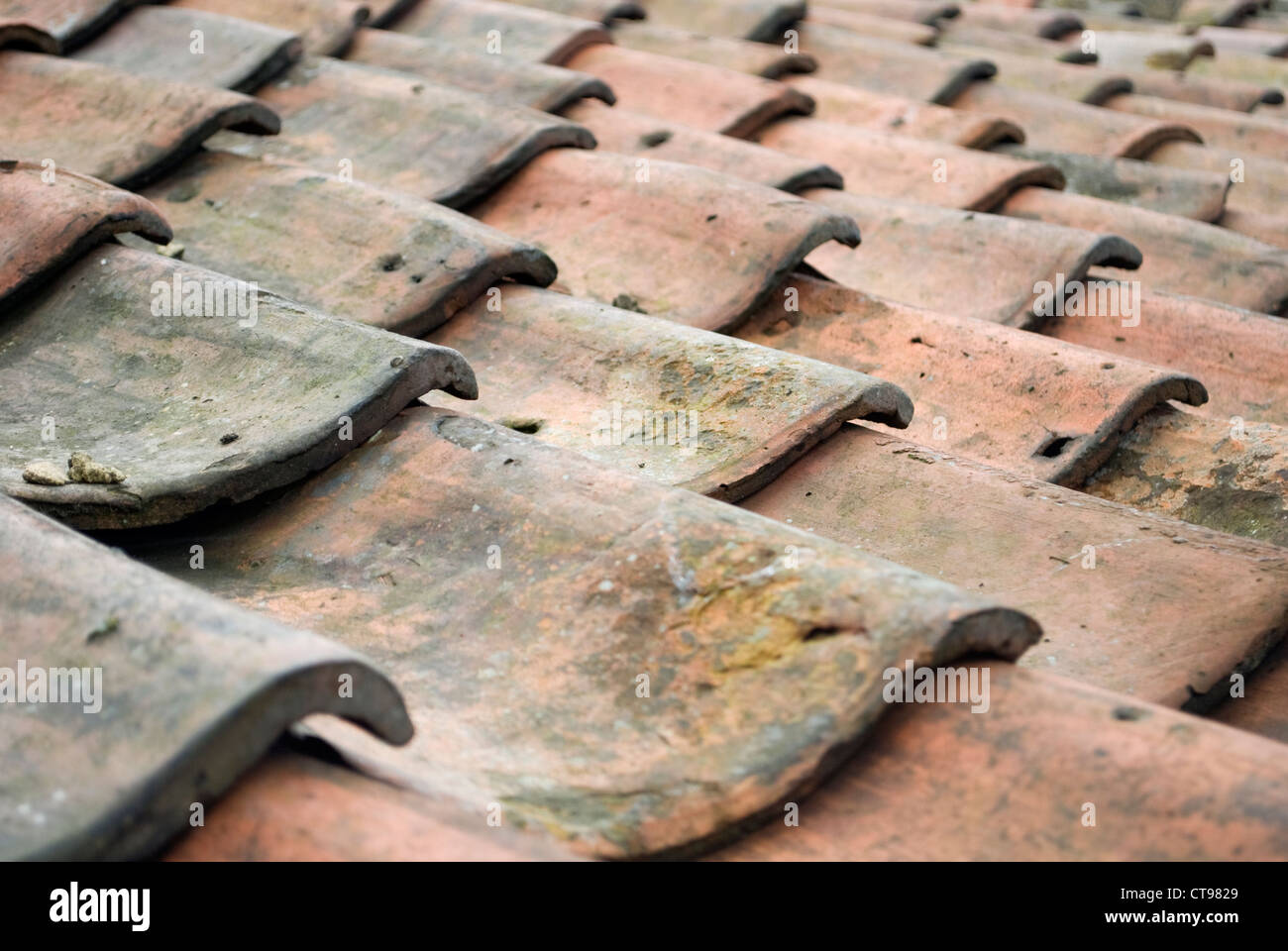 Pantile roofing tiles Stock Photo