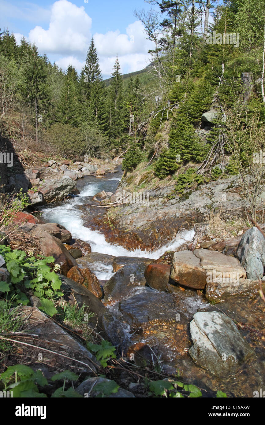 Mountain creek in National park Krkonose, Czech Republic Stock Photo