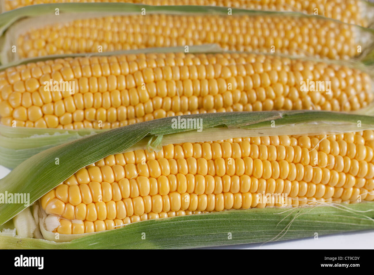 Corn Kernel Stock Photos & Corn Kernel Stock Images Alamy