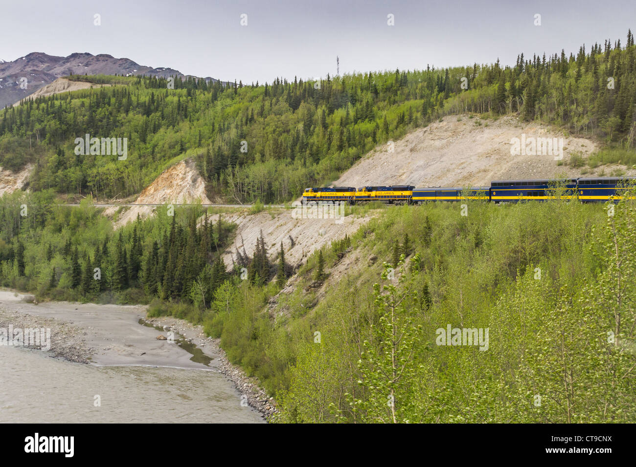 Alaska Railroad (with Holland America cars attached) climbing up to
