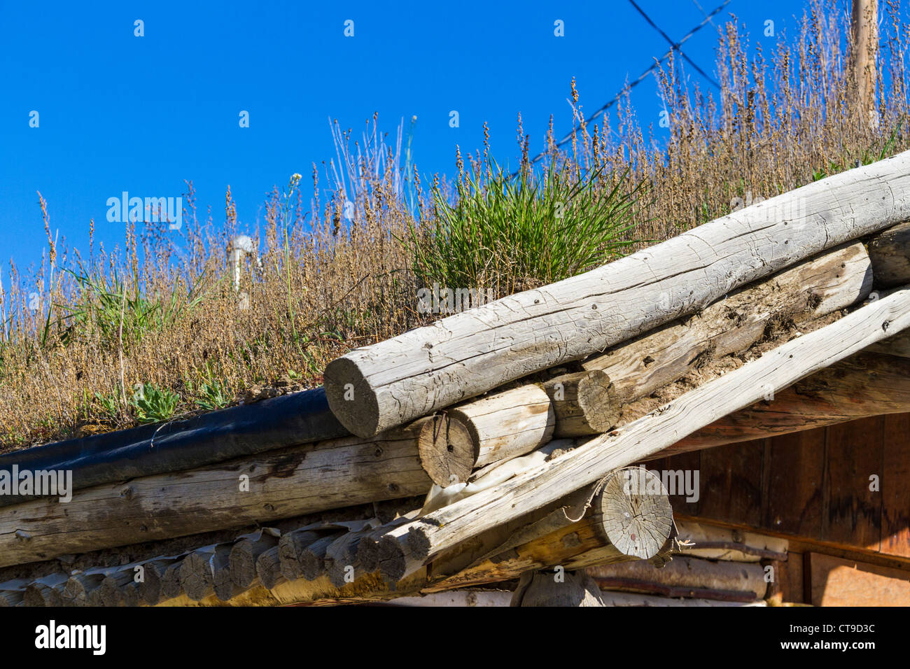 Thatched or sod roof buildings in Dawson City, Yukon Territory, Canada. Stock Photo