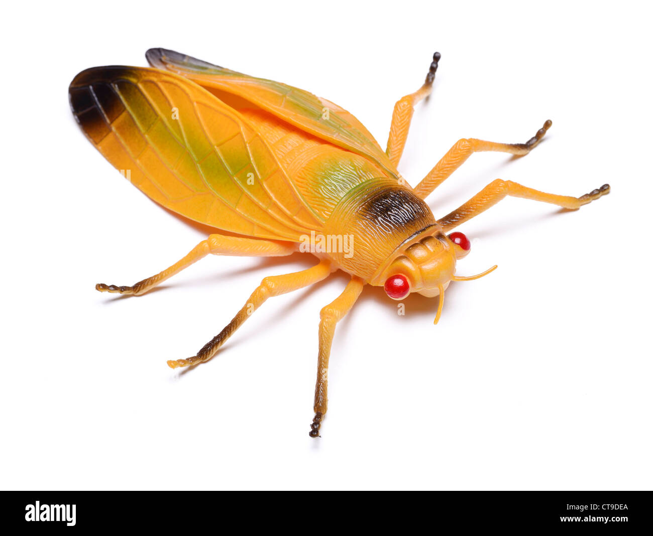 Yellow plastic toy insect Stock Photo