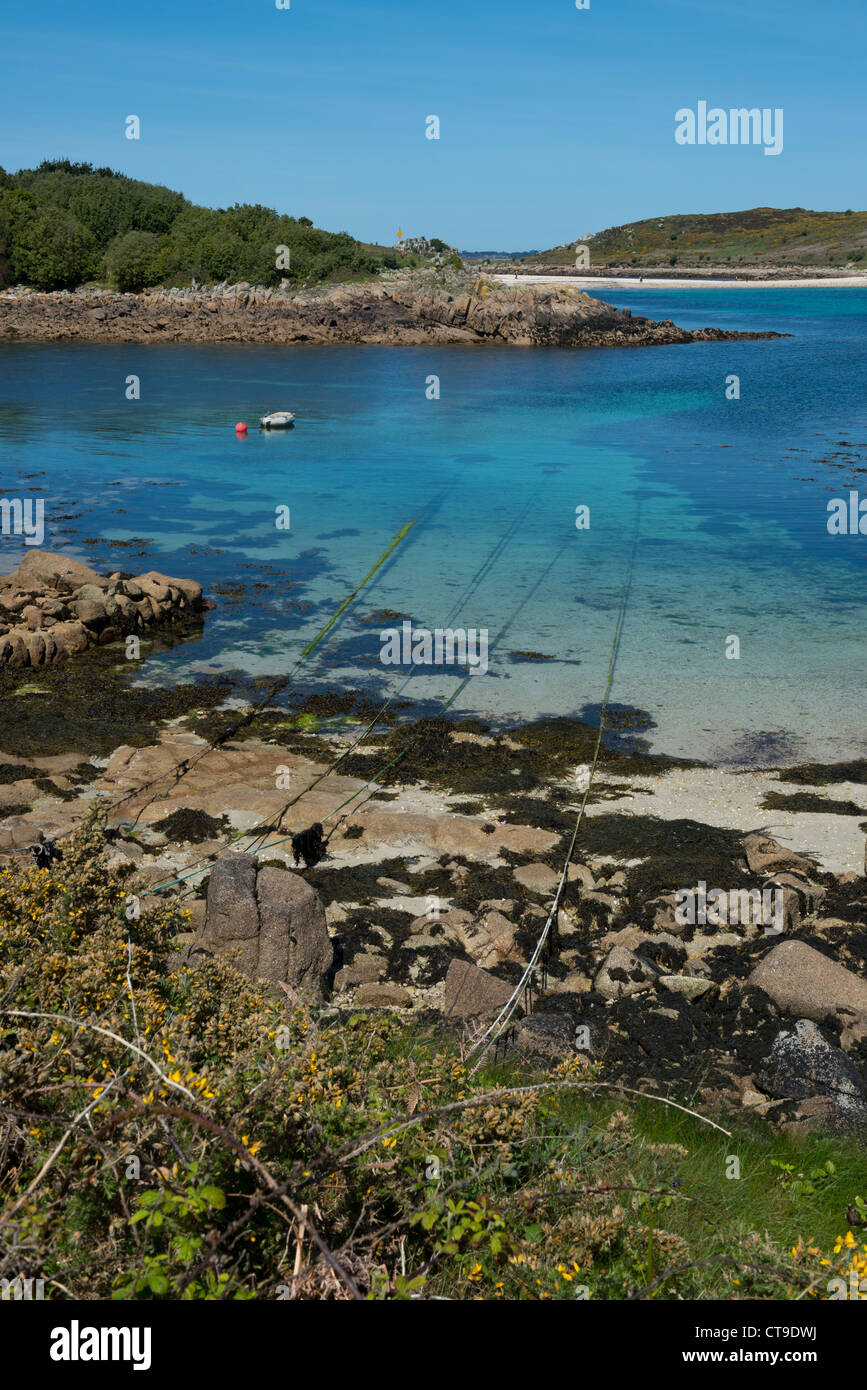 Cove Vean. St Agnes, Isles of Scilly, Cornwall Stock Photo Alamy