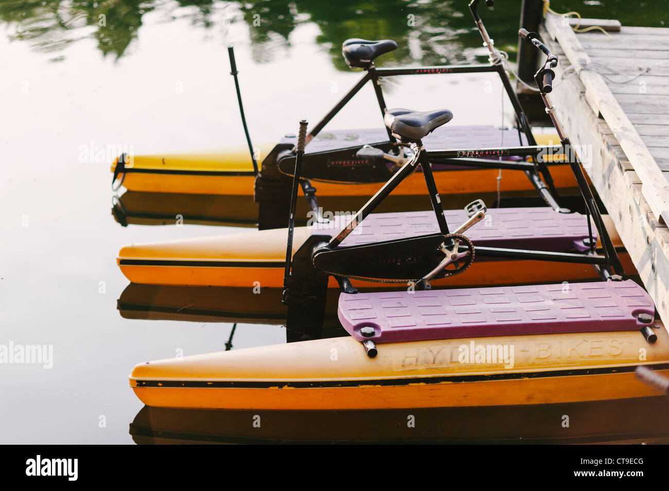Row of yellow paddle peddle boats Stock Photo