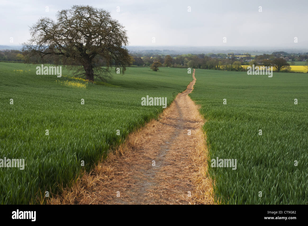 Countryside path at Little Malvern, at the foot of the Malvern Hills Stock Photo