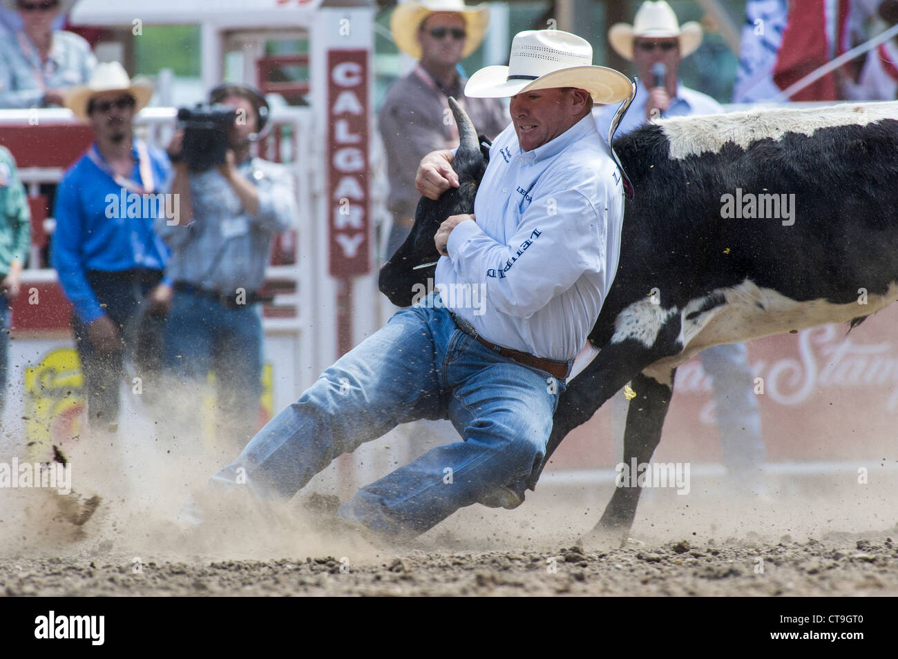 Steer wrestler at the Calgary Stampede Rodeo Stock Photo Alamy