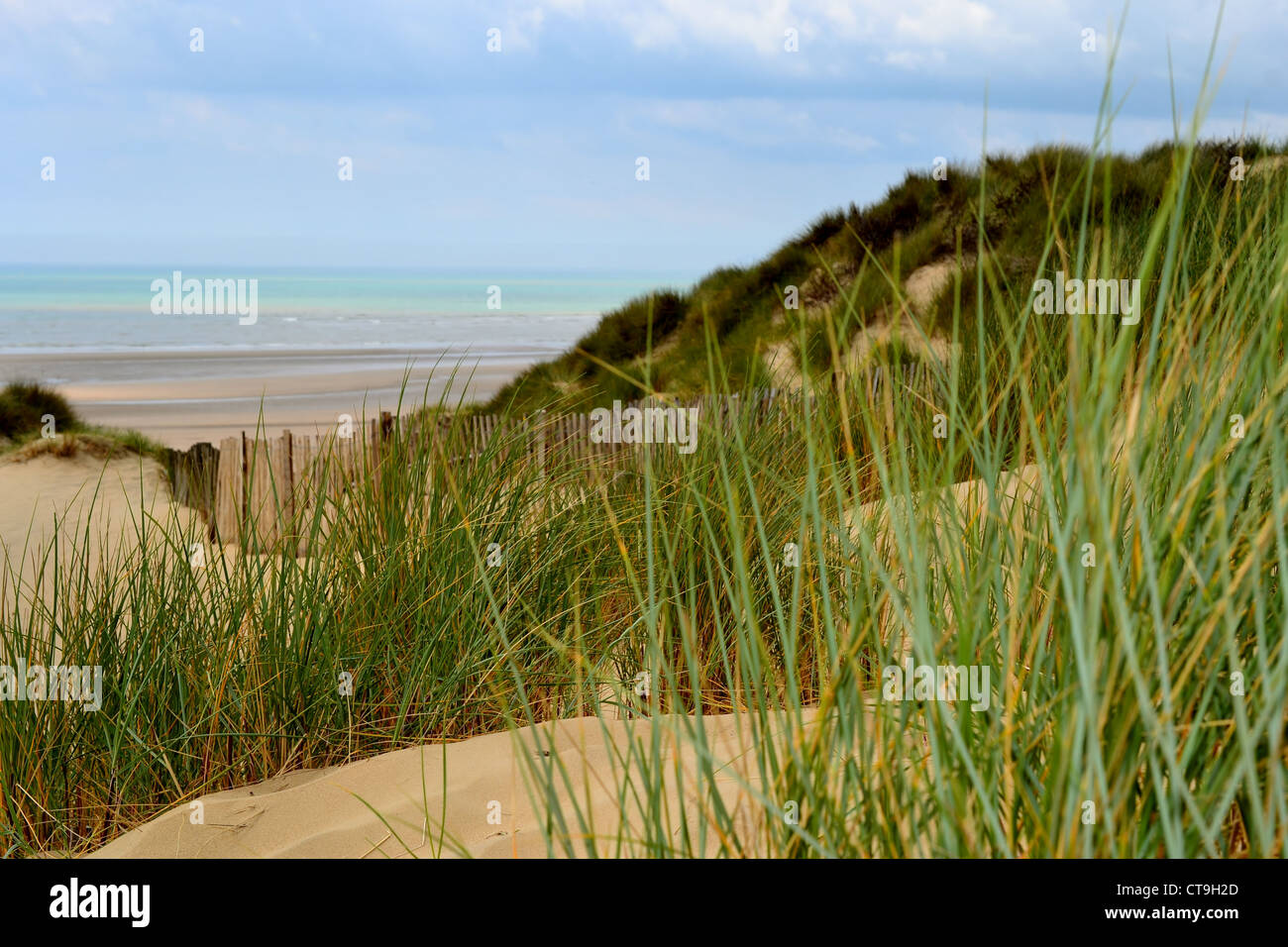 On the Beach Camber Sands Stock Photo - Alamy