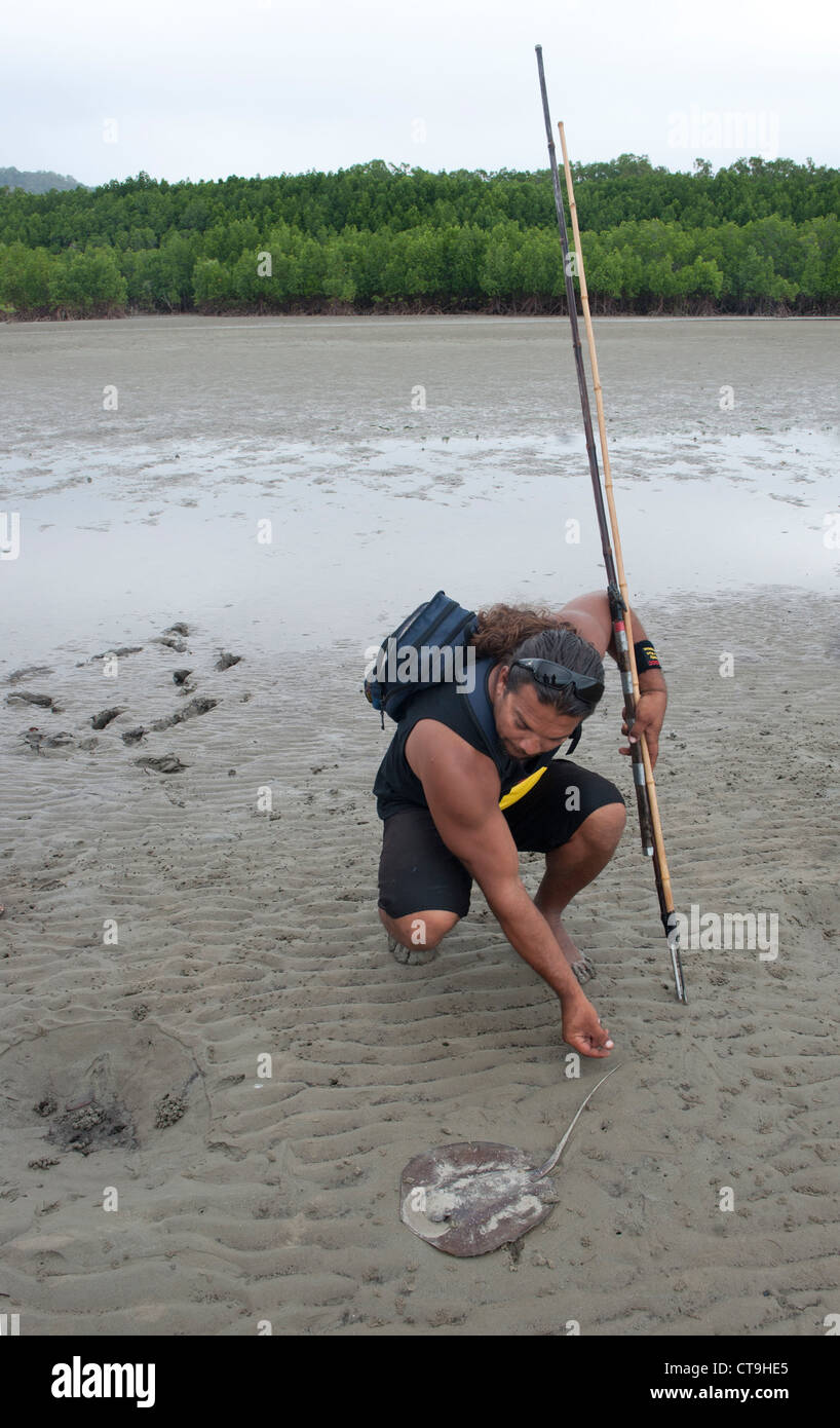 Brandon Walker of the Kuku Yalanji aborigines offers indigenous cultural heritage tours on the mudflats of Cooya Beach, QLD Stock Photo
