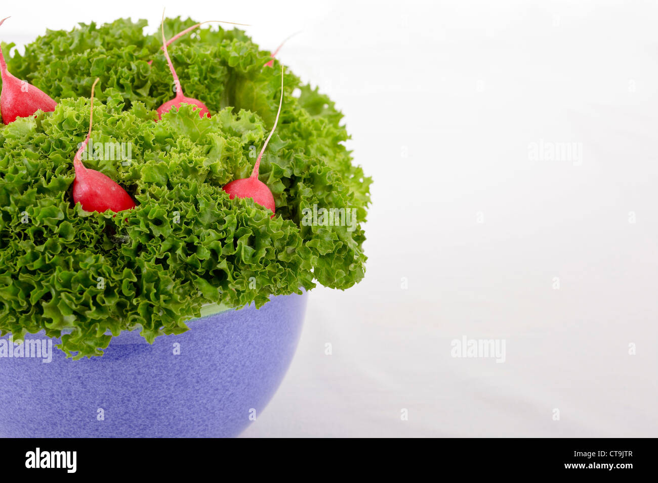 Lettuce and radish Stock Photo Alamy
