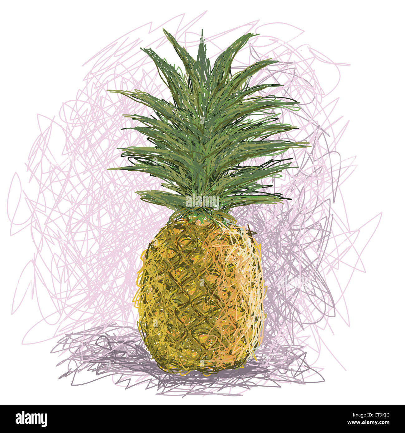 closeup illustration of a fresh pineapple fruit Stock Photo - Alamy
