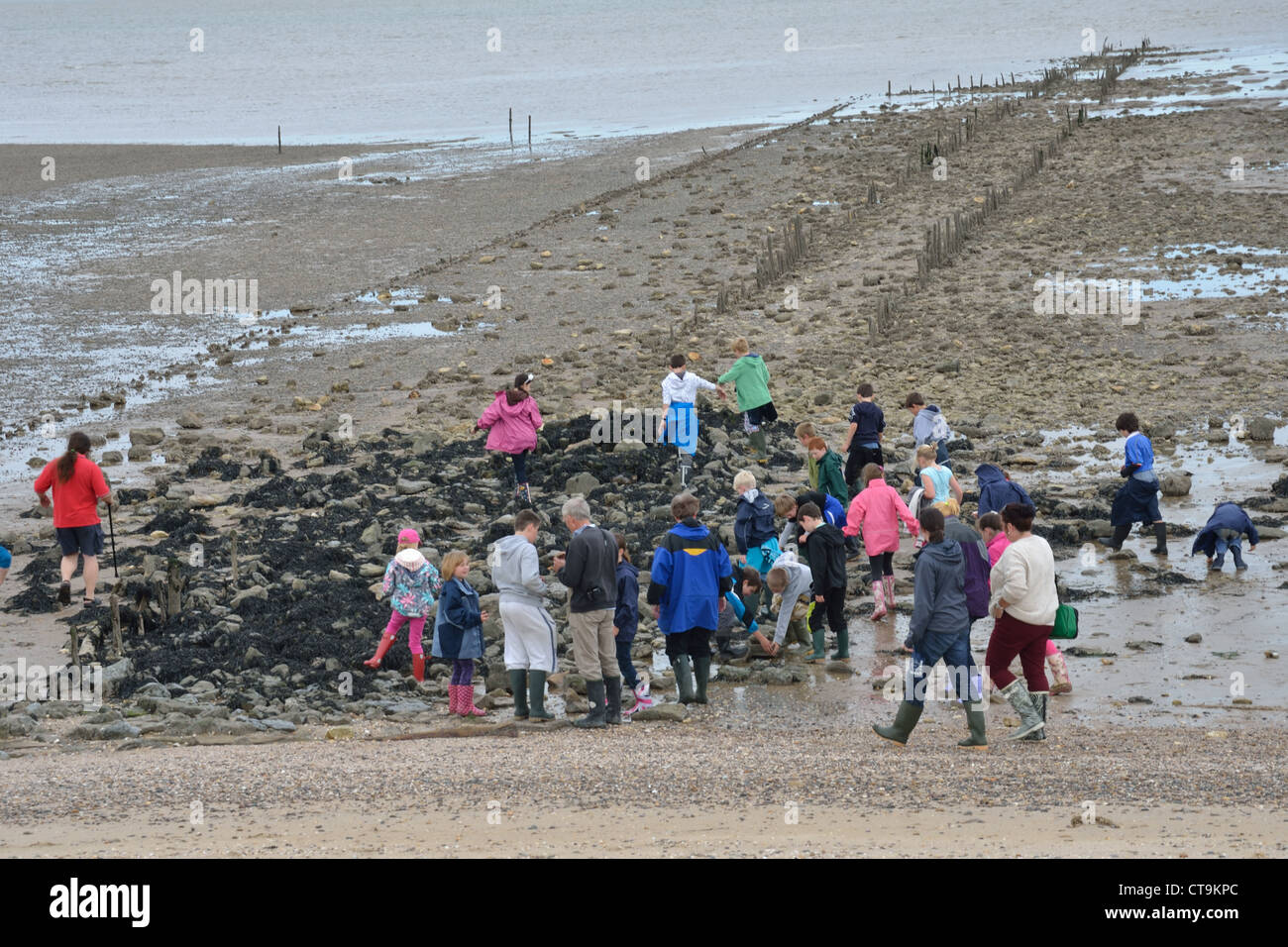Large group of people on Muddy Beach Stock Photo