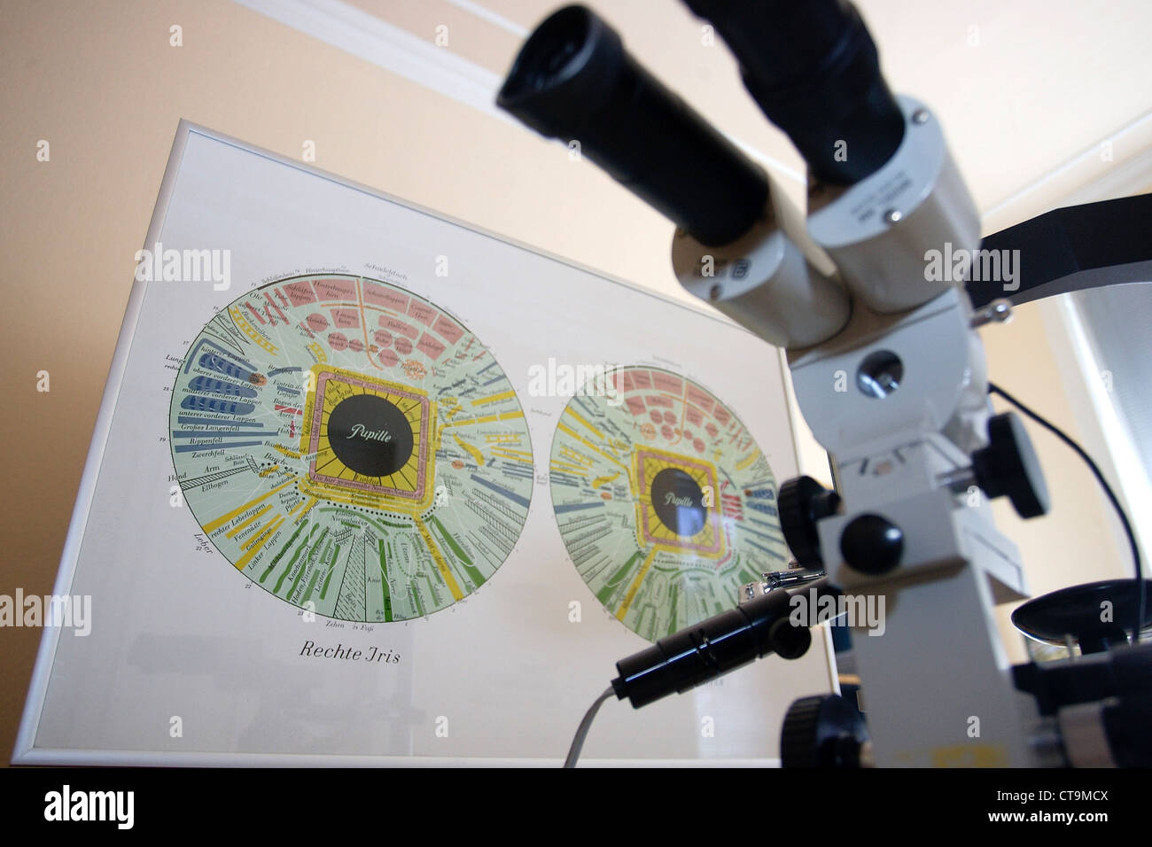 Iris Circle is carried out with the help of the Iridology Stock Photo