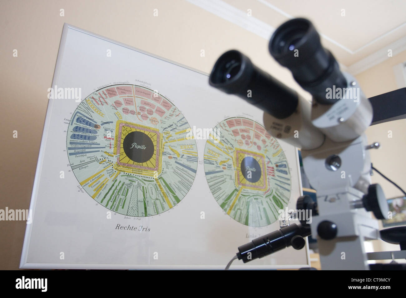 Iris Circle is carried out with the help of the Iridology Stock Photo