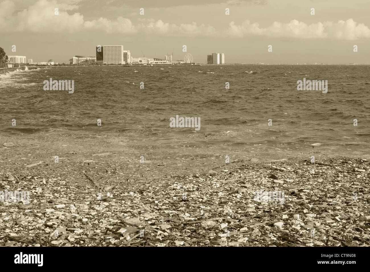 image of a polluted manila bay shore with toxic garbage floating in the ...