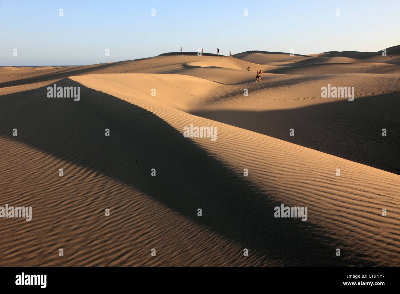 Spain, Canary Islands, Gran Canaria, Maspalomas, sand dunes, Stock Photo