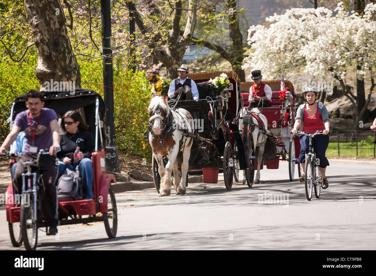 Central park carriages historic hi-res stock photography and images - Alamy