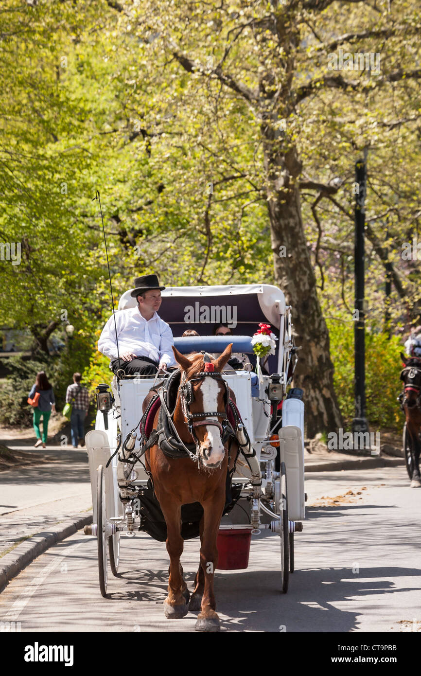 Tourism horse carriage tour hi-res stock photography and images - Alamy