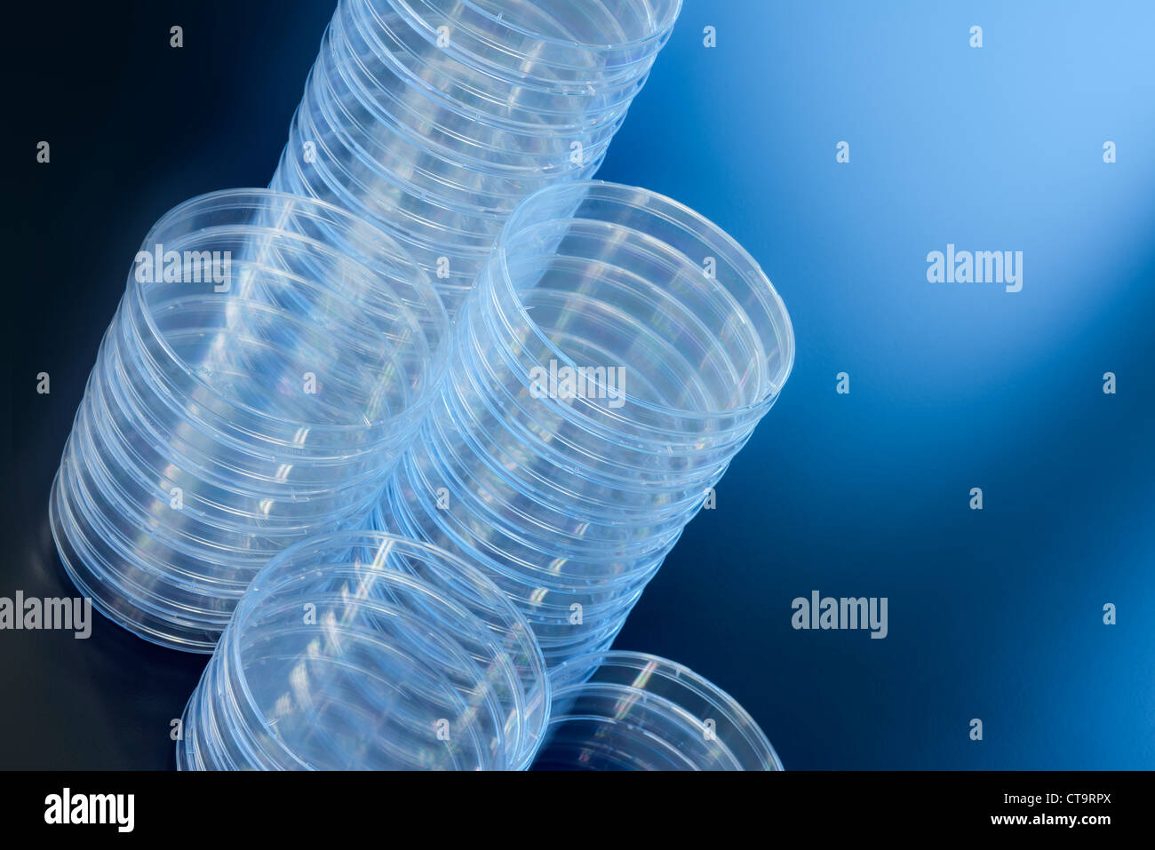 Several stacks of empty petri dishes on a blue background. Stock Photo