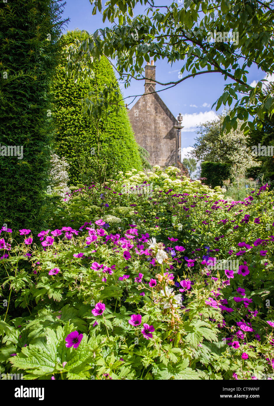 A border of hardy perennial plants including true geraniums in an