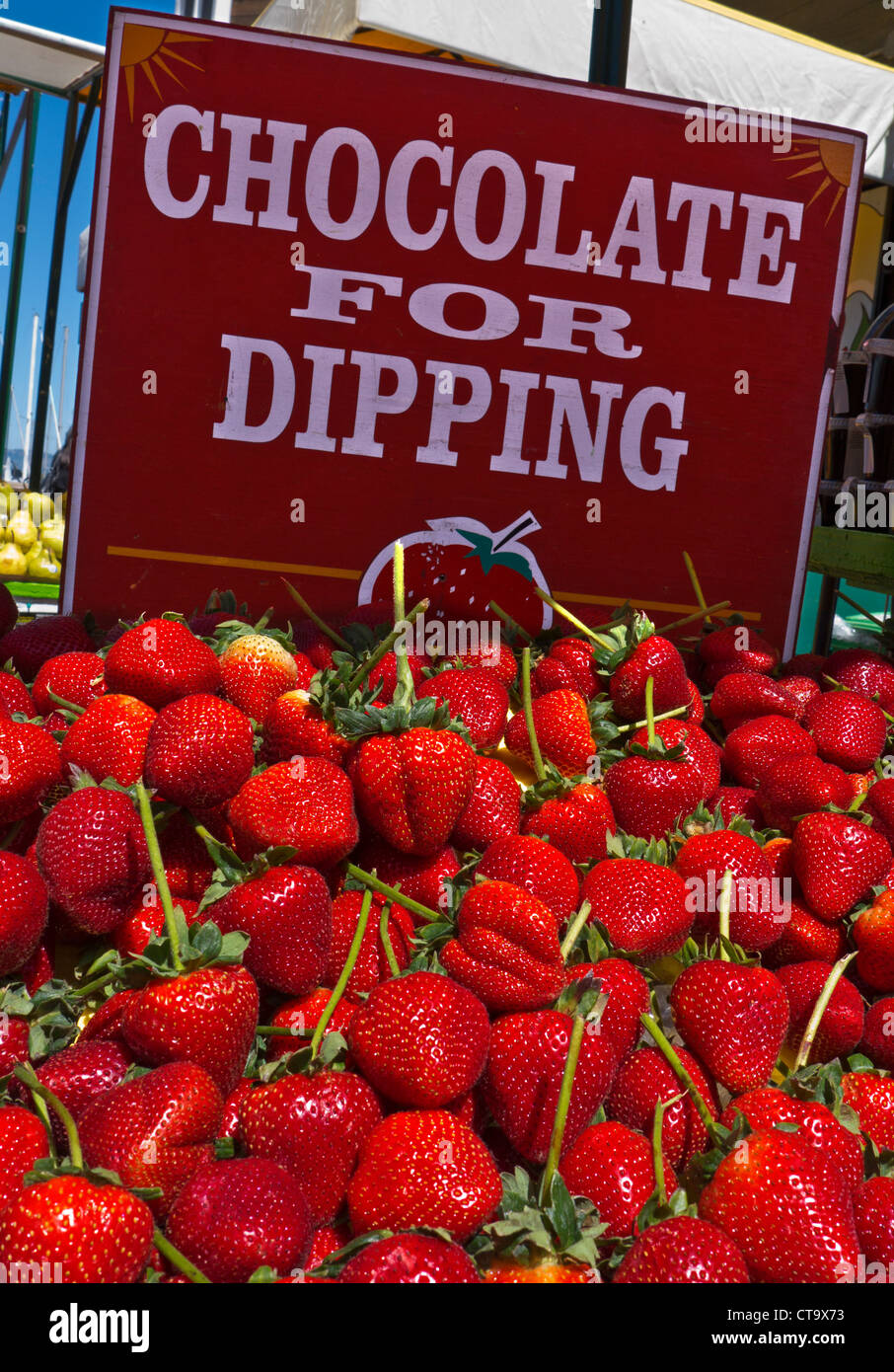 Ripe long stalk strawberries on display farmers market stall ready for chocolate dipping Embarcadero San Francisco USA Stock Photo