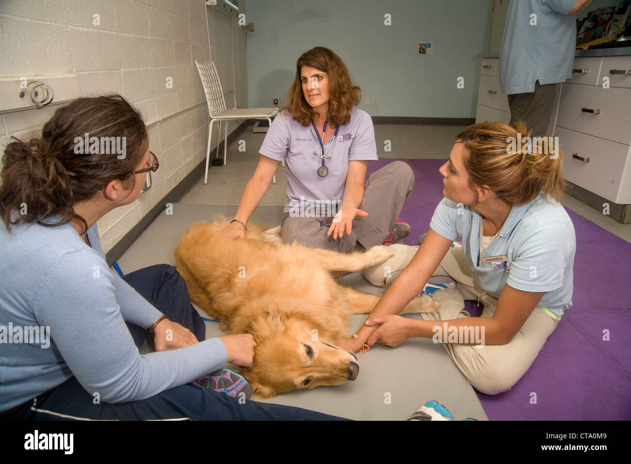 Vet med hi-res stock photography and images - Alamy