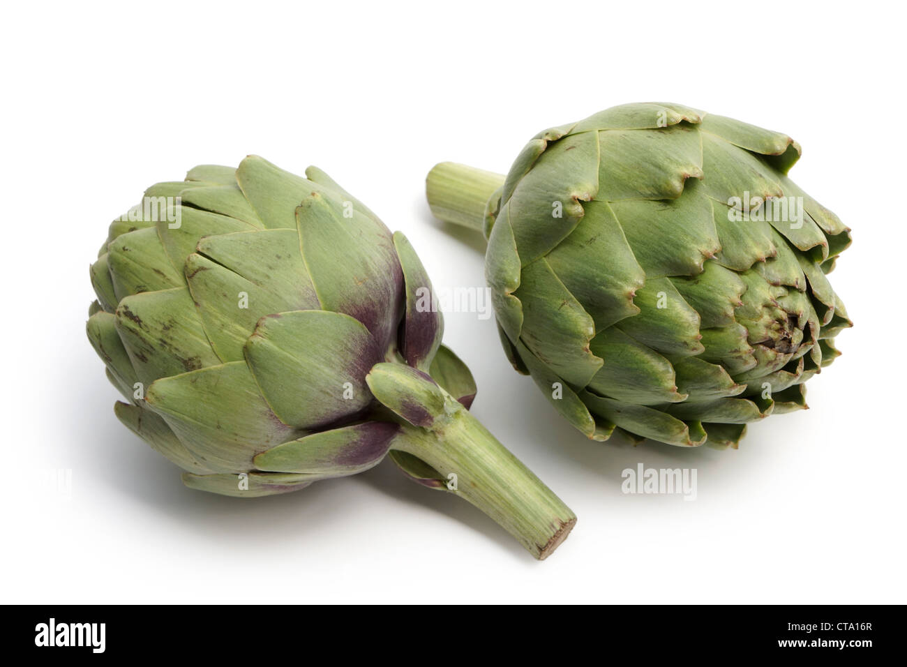 Artichokes, Two Artichokes, Pair of Artichokes Stock Photo