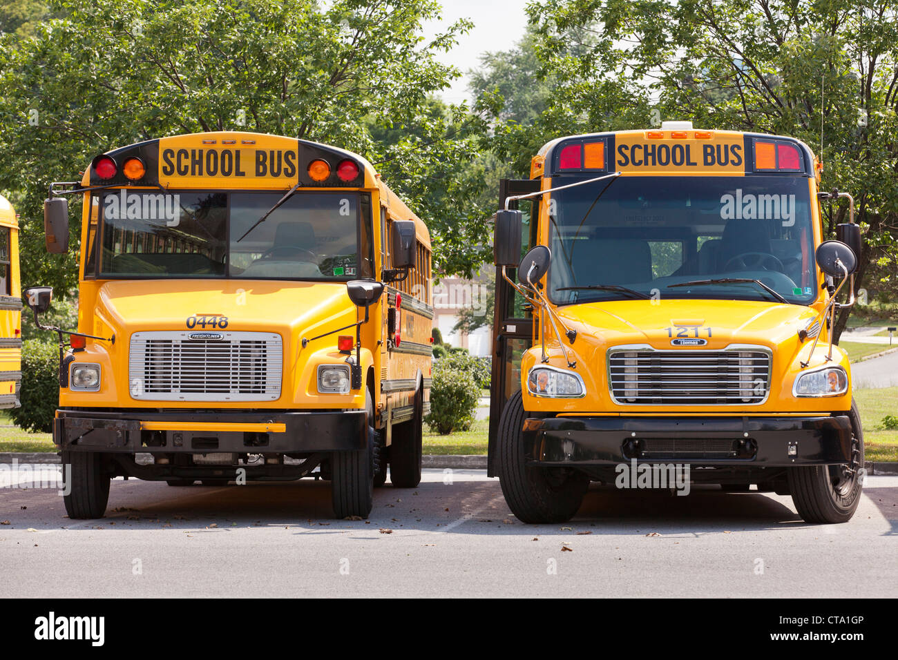 Parked school buses Stock Photo