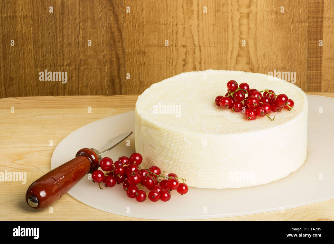 White cheddar cheese garnished with currants Stock Photo