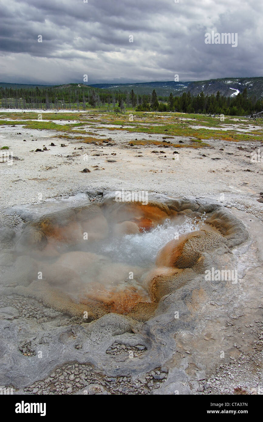 Shell Spring, Biscuit Basin, Yellowstone National Park Stock Photo