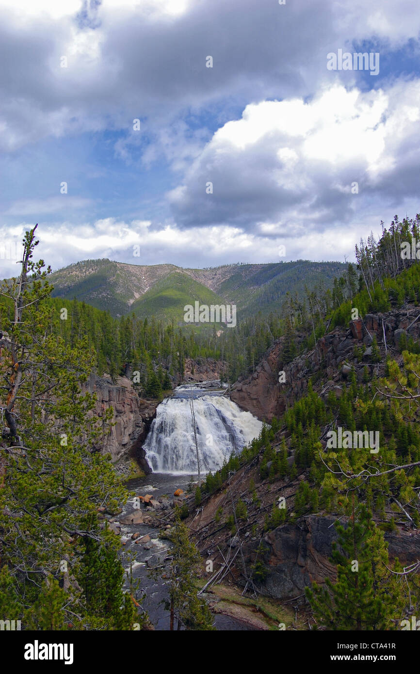 Gibbon Falls, Yellowstone National Park Stock Photo