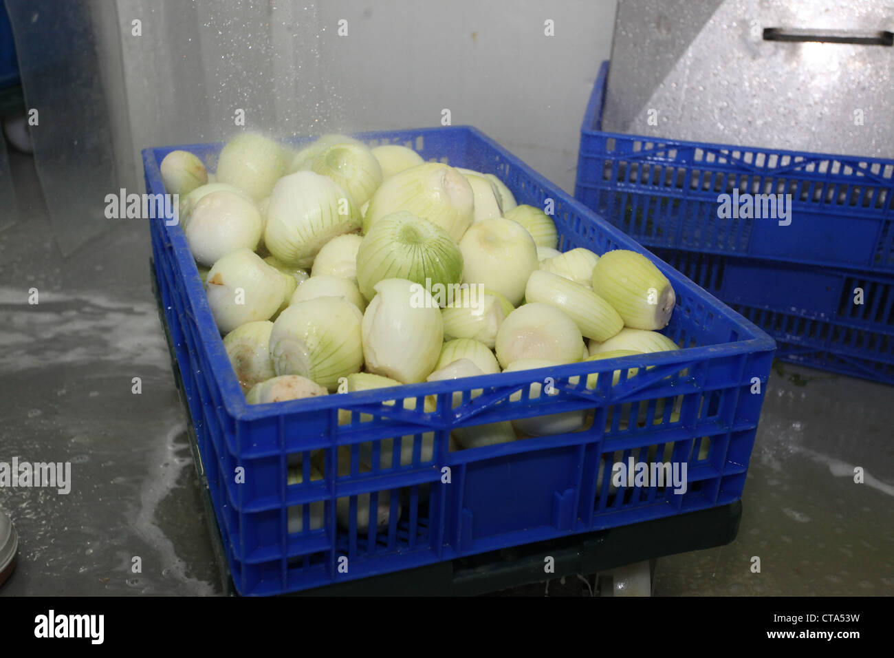 Peeled onions hi-res stock photography and images - Alamy
