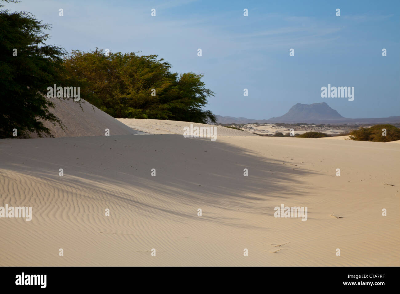 Cape verde,Boa Vista Stock Photo Alamy