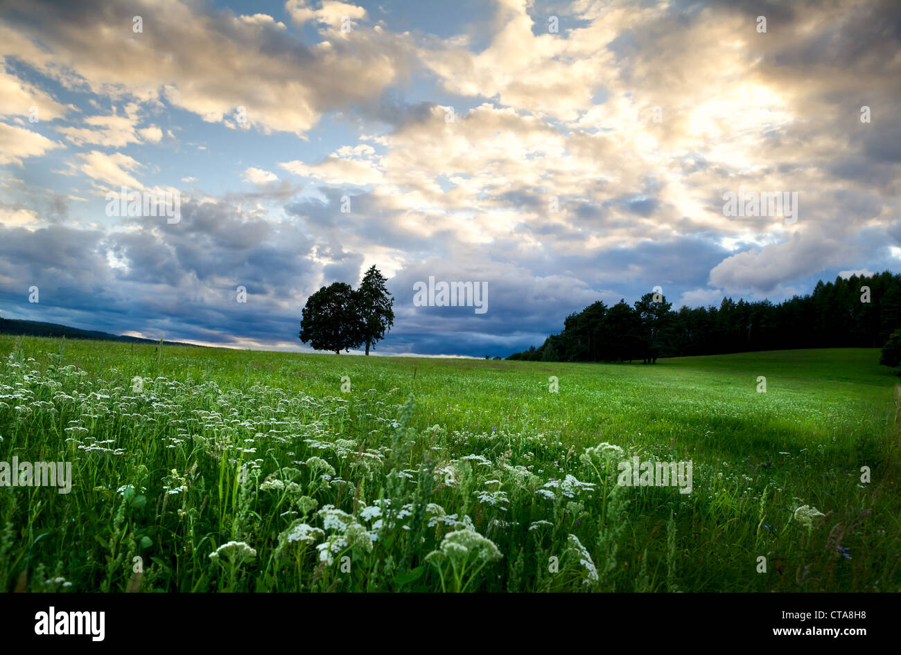 wild meadows and trees on horizon before sunset in Burgsinn, Bavaria Stock Photo