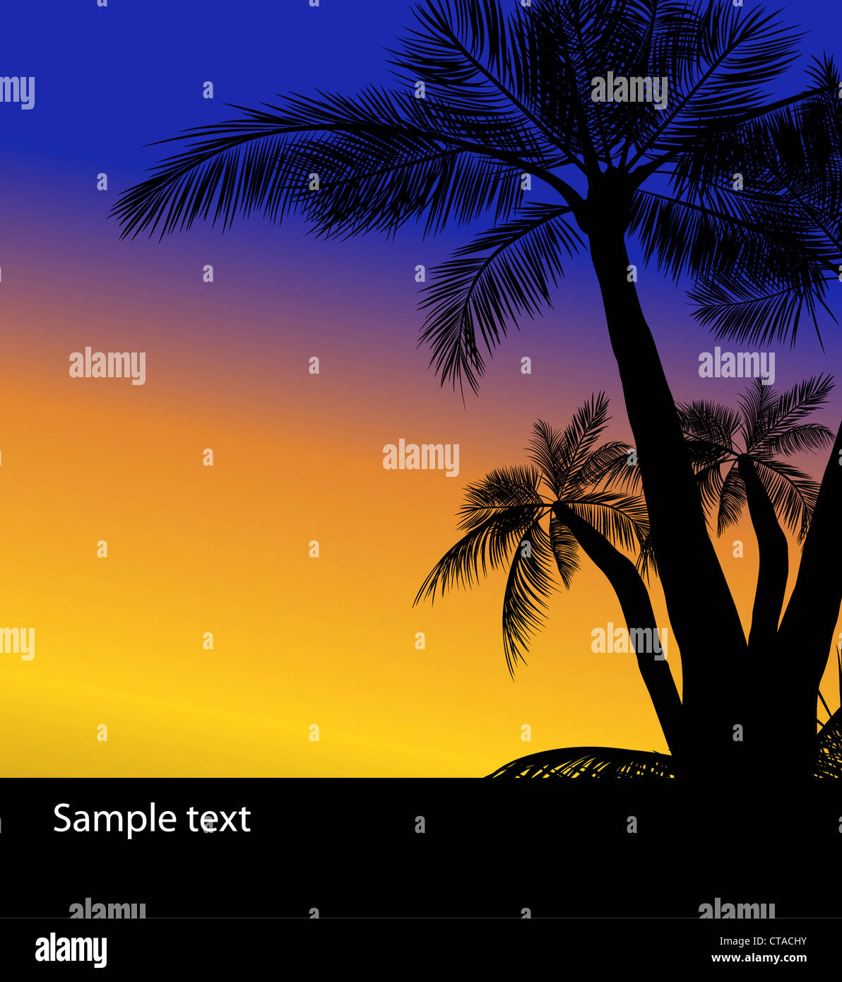 vector summer background with palm trees Stock Photo - Alamy