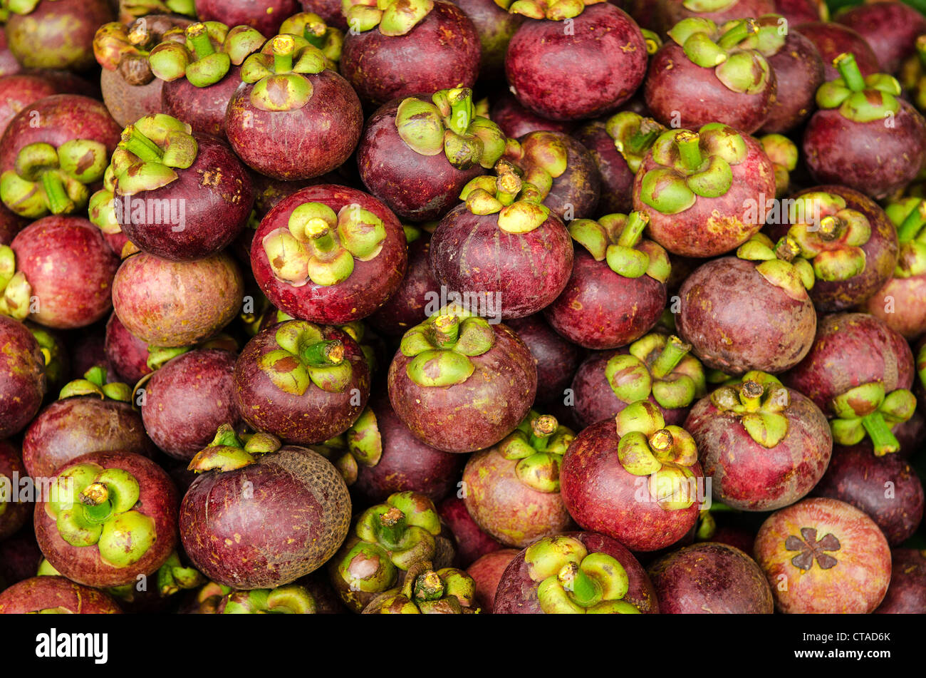 Mangosteen hires stock photography and images Alamy